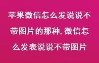 微信怎么发表说说不带图片【100句文案】