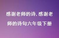 感谢老师的诗句六年级下册【100句文案精选】 感谢老师的诗句六年级下册【100句文案精选】
