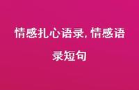 情感语录短句【100句文案】 情感语录短句【100句文案】
