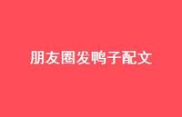 朋友圈发鸭子配文【100句精选短句合集】 朋友圈发鸭子配文【100句精选短句合集】