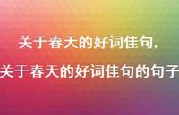 关于春天的好词佳句的句子【精品文案100句】