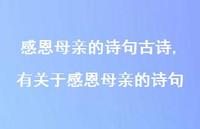 有关于感恩母亲的诗句【100句文案精选】