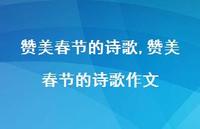 赞美春节的诗歌作文【精品文案100句】