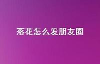 落花怎么发朋友圈【100句精选短句合集】