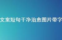 文案短句干净治好图片带字50句汇总