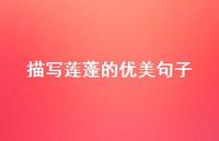 描写莲蓬的优美句子(精选52句)