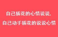 自己动手插花的说说心情(100句)