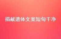 捐献遗体文案短句干净【100句精选短句合集】