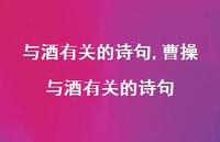 曹操与酒有关的诗句【精品文案100句】 曹操与酒有关的诗句【精品文案100句】