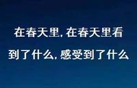 在春天里看到了什么,感受到了什么【100句文案精选】