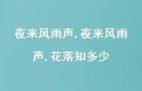 夜来风雨声,花落知多少【精品文案100句】 夜来风雨声,花落知多少【精品文案100句】