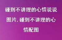 碰到不讲理的心情配图(100句)