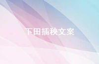 下田插秧文案【100句精选短句合集】 下田插秧文案【100句精选短句合集】