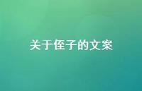 关于侄子的文案【100句精选短句合集】