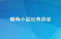 酸梅小说经典语录【100句精选短句合集】 酸梅小说经典语录【100句精选短句合集】