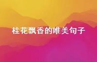 桂花飘香的唯美句子51句汇总