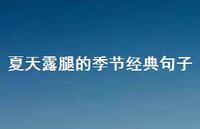 夏天露腿的季节经典句子【100句精选短句合集】