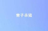 曾子杀猪72句汇总 曾子杀猪72句汇总