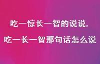 吃一长一智那句话怎么说(100句)