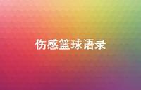 伤感篮球语录【100句精选短句合集】 伤感篮球语录【100句精选短句合集】