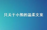 只关于小熊的温柔文案【100句精选短句合集】