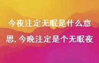 今晚注定是个无眠夜(100句) 今晚注定是个无眠夜(100句)