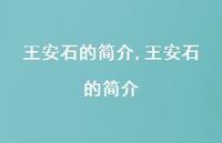 王安石的简介【精品文案100句】 王安石的简介【精品文案100句】
