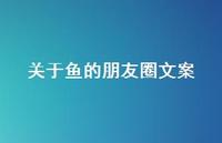 关于鱼的朋友圈文案【100句精选短句合集】 关于鱼的朋友圈文案【100句精选短句合集】