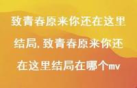 致青春原来你还在这里结局在哪个mv【55句文案精选】 致青春原来你还在这里结局在哪个mv【55句文案精选】