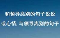 与领导离别的句子【100句文案】