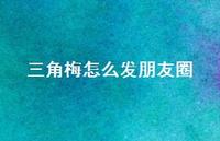 三角梅怎么发朋友圈【100句精选短句合集】