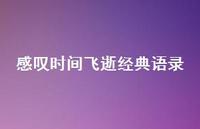 感叹时间飞逝经典语录(精选66句)
