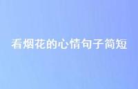 看烟花的心情句子简短72句汇总 看烟花的心情句子简短72句汇总