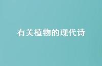 有关植物的现代诗71句汇总 有关植物的现代诗71句汇总