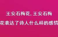 王安石梅花表达了诗人什么样的感情【精品文案100句】 王安石梅花表达了诗人什么样的感情【精品文案100句】