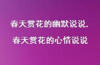 春天赏花的心情说说(100句)