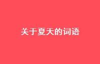 关于夏天的词语46句汇总