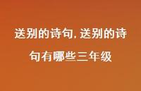 送别的诗句有哪些三年级【精品文案100句】 送别的诗句有哪些三年级【精品文案100句】