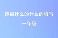 辣椒什么的什么的填写一年级【100句精选短句合集】