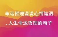 人生命运哲理的句子(100句)