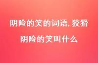 狡猾阴险的笑叫什么【100句文案精选】 狡猾阴险的笑叫什么【100句文案精选】