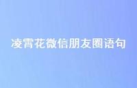 凌霄花微信朋友圈语句(精选54句) 凌霄花微信朋友圈语句(精选54句)