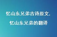 忆山东兄弟的翻译【精品文案100句】 忆山东兄弟的翻译【精品文案100句】