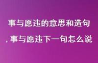 事与愿违下一句怎么说(100句) 事与愿违下一句怎么说(100句)