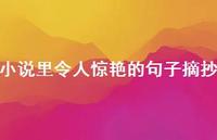 小说里令人赞叹的句子摘抄61句汇总