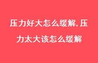 压力太大该怎么缓解(100句)