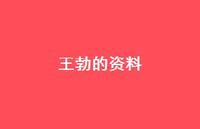 王勃的资料59句汇总 王勃的资料59句汇总