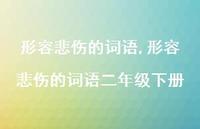 形容悲伤的词语二年级下册【精品文案100句】