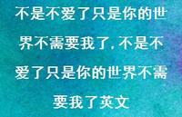 不是不爱了只是你的世界不需要我了英文(100句)