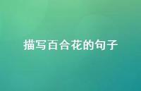 描写百合花的句子47句汇总 描写百合花的句子47句汇总